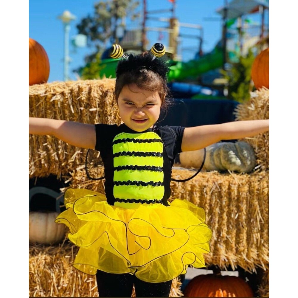 Girls Bumble Bee Costume Yellow/Black Tutu Halloween w/ Wings Headband 4-7 yo